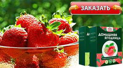 Домашняя ягодница купить в аптеке