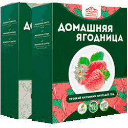 кладовая природы домашняя ягодница