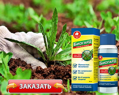 Средство Биогард купить по сниженной цене