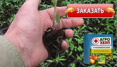 Агрохелп купить в магазине.