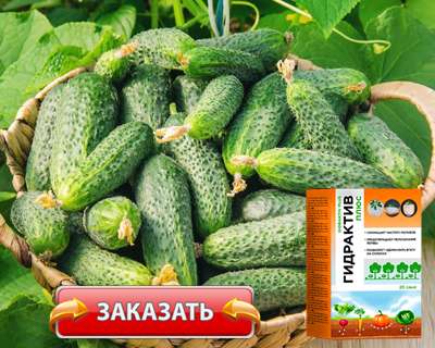 Заказать Гидрактив Плюс на официальном сайте.