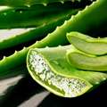 Экстракты алоэ, крушины, сенны, ламинарии, годжи содержится в составе Leptigen Meridian Diet.